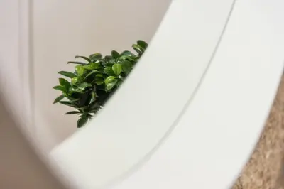 a plant sitting on top of a white wall at GuestReady - Grandeur River Balcony Reborn in Porto