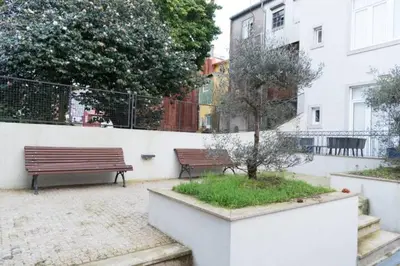 two benches sitting next to a wall with a tree at Warmly Porto in Porto