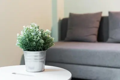 a potted plant sitting on a table next to a couch at GuestReady - Wellspring Bloom in Porto
