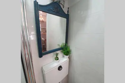 a bathroom with a mirror and a sink with plants at Charming Clérigos Studio in Porto