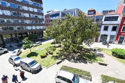 a tree in the middle of a parking lot with cars at ON Apartments - Garden View 2 in Porto