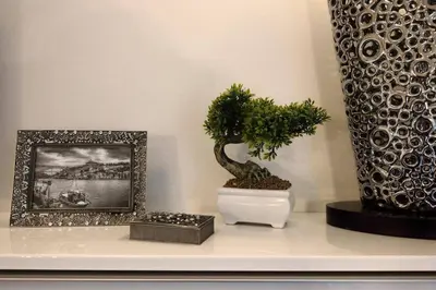 a shelf with two plants and a picture and a vase at Romantic Getaway Suite in Porto