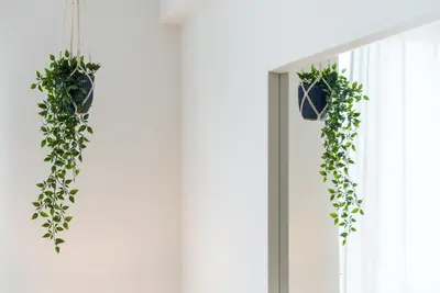 a pair of plants hanging from a window at GuestReady - Hemisphere Apt in Porto