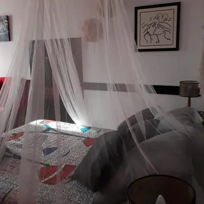 a bedroom with a bed with mosquito netting at AL- Almada 4 in Porto