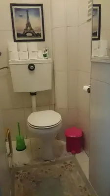 a bathroom with a toilet and a picture of the eiffel tower at AL-Almada-2 in Porto