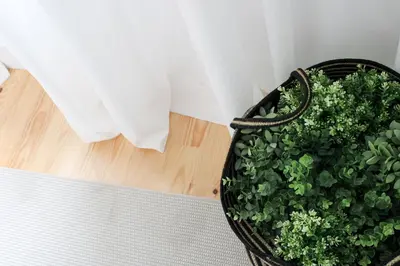 a plant in a basket sitting on a table at Oporto Garden's Home in Porto