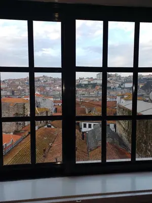 a view of a city from a window at MyRiverPlace N 5 River View Porto apartments in Vila Nova de Gaia