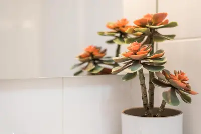 a white vase with orange flowers in it at GuestReady - Miragaia Green in Porto