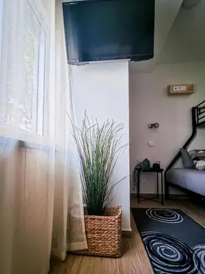 a room with a plant in a basket next to a window at Cantinho do Chico in Vila Nova de Gaia
