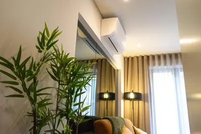 a living room with a couch and a plant at The Beautiful Ones Studio in Porto