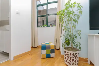 a plant in a pot in a room with a window at Sunny Oporto, Douro Apartments in Porto