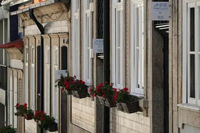 a building with flowerpots on the side of it with windows at Three Houses & Bedrooms in Porto