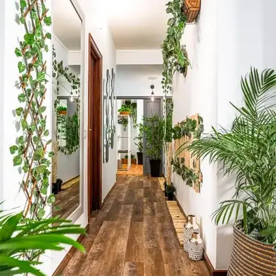 Avenue View Rooms - Guest House
