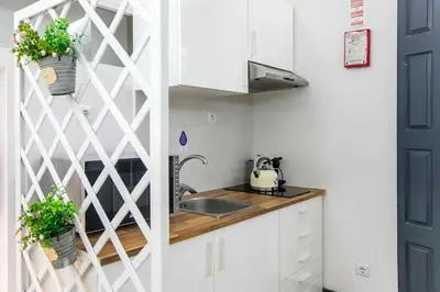 a kitchen with white cabinets and a sink with potted plants at Papa 1T · Papa Studio Central Garden View in Porto
