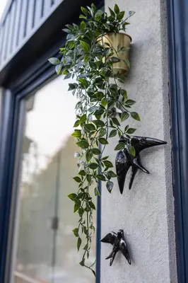a plant hanging on a wall next to a window at Sunshine Apartment in Porto