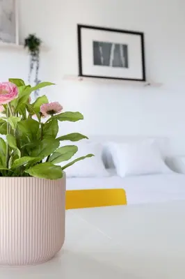 a white vase with a plant on a table at Travel & Live Alegria Apartments in Porto