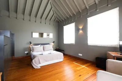 a living room with a couch and two windows at CLUBE Charming Apartments - Cedofeita in Porto