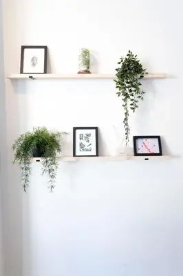 a white shelf with three plants on it at Travel & Live Bolhão apartments in Porto
