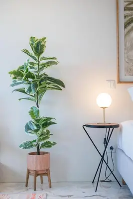 a plant in a chair next to a table at Liiiving in Porto - Luxury Gallery Apartment II in Porto