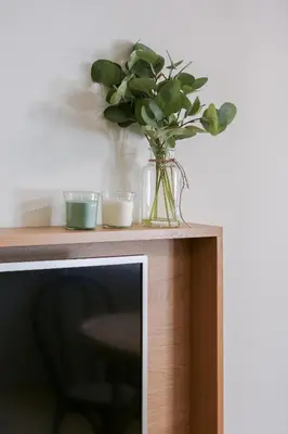 a vase with a plant on top of a tv at ORM Carregal Apartment in Porto