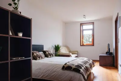 a bedroom with a large bed and a window at Boavista Studio 99 & Garage in Porto
