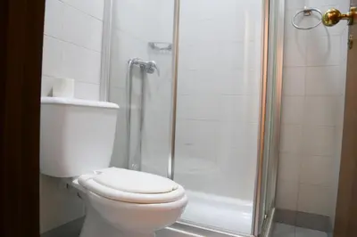 a bathroom with a toilet and a shower at Bonsai Apartment II in Porto