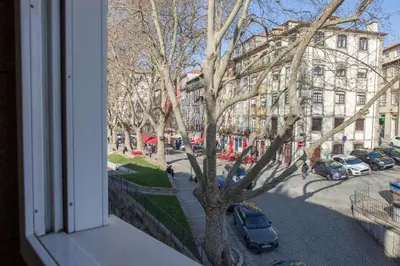 a window view of a street with a tree and buildings at Citybreak-apartments Douro View in Porto