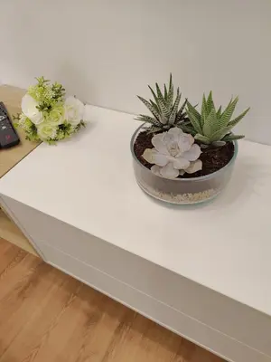 two potted plants sitting on a white table at A Window to Porto – Premium Apartment Porto Downtown in Porto