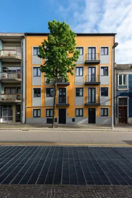 a building with a tree in the middle of a street at Paraíso Apartment in Porto