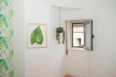 a hallway with a window and a plant on the wall at Travel & Live Marques in Porto