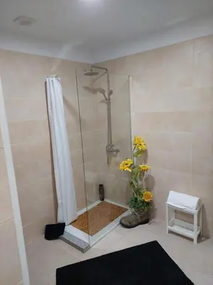 a bathroom with a shower with a plant in it at charming loft in Porto in Porto