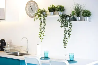 a kitchen with plants and a clock on the wall at Alegria Cool House in Porto