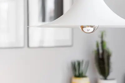 a light fixture hanging from a wall with a plant at GuestReady - Colorful Apt near Agosto Station in Porto