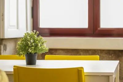 a table with yellow chairs and a potted plant on it at Travel & Live Alegria 248 in Porto