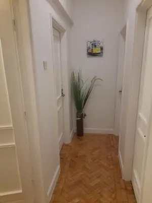 a hallway with a potted plant on the wall at Cozy Central 3 Bedrooms Bragas in Porto