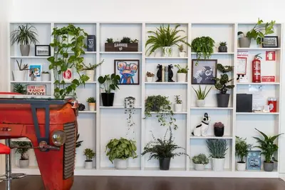 a shelf filled with dolls and toy cars at Porto - Your Avant-Garde Getaway in Porto