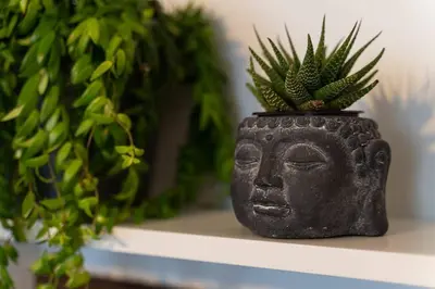 a shelf filled with potted plants in a room at Porto - Your Avant-Garde Getaway in Porto