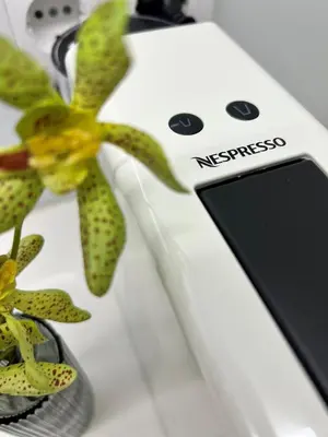 a white electric phone sitting next to a plant at Cactus Apartment, by Bolhão Residences in Porto