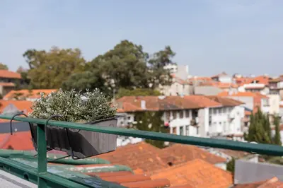 a plant sitting on top of a balcony with roofs at GuestReady - The Other Side in Porto