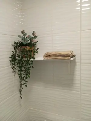 a shelf with a potted plant on a wall at Casa do Barqueiro - Porto in Porto