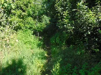 a path through a field of grass and trees at Aida's Haven Penthouse&Parking in Porto