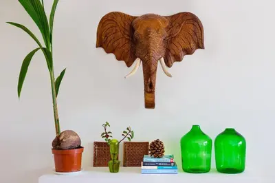 a head of an elephant hanging on a wall at Aida's Haven Penthouse&Parking in Porto