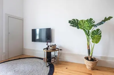 a living room with a television and a potted plant at São Bento Premium Loft - With Air Conditioning in Porto