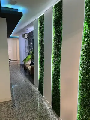 a hallway with a green wall in a building at Modern & Central 3 minutes from the River in Vila Nova de Gaia