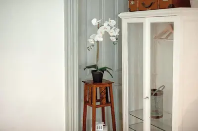 a potted plant on a wooden table next to a mirror at Porto InLapa Apartment II Terrace in Porto
