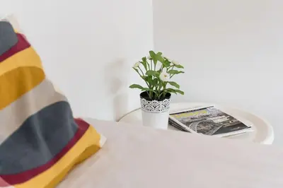 a plant in a vase on a table with a book at Porto InLapa Studio VI Garden in Porto