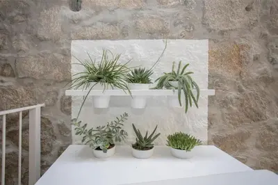 a group of potted plants sitting on a shelf at Liiiving in Porto - Clérigos Terrace Apartment in Porto