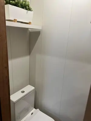 a white bathroom with a toilet and a plant on a shelf at Francisca City House in Vila Nova de Gaia