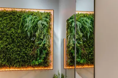 a green wall with two mirrors with plants on it at Casa da Música Guesthouse in Porto