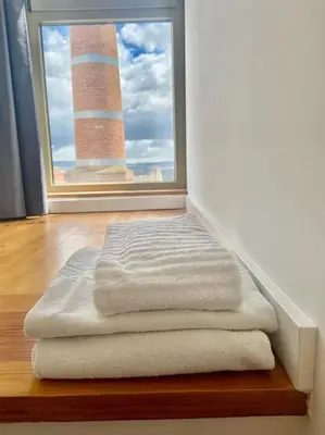 a dog bed sitting in front of a window at Padre António Vieira flat E - 2 Bedroom Near Campanhã train station in Porto